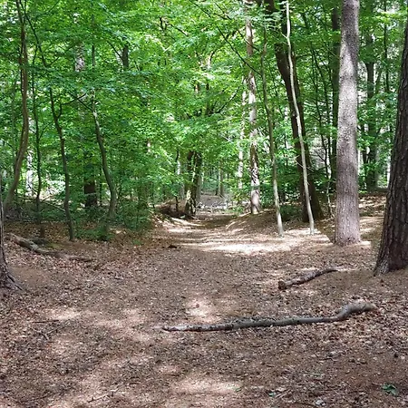 Luxury Retreat With Pool - By Traum 別荘 *